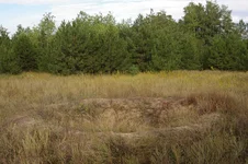 IMGP6355_1.webp