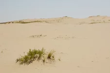 IMGP0076.webp