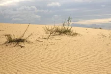 IMGP6409_1.webp