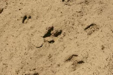 IMGP0061.webp