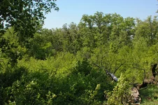 IMGP0108.webp