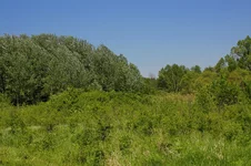 IMGP0122.JPG