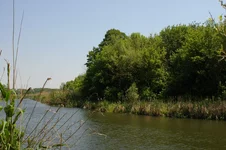 IMGP0119.JPG