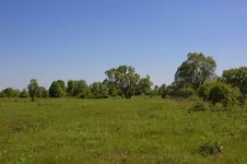 IMGP0190.JPG