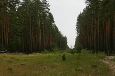 IMGP5758.webp