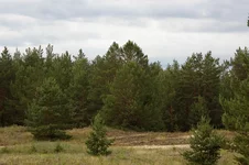 IMGP5768_1.webp