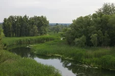 IMGP5720.webp