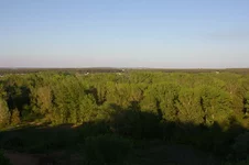 IMGP9325.webp