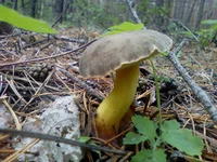 PIC-0137.jpg