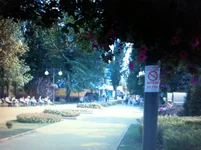 013.webp