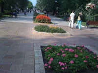IMG_0023.webp