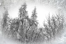 .Зима. 21.03.2008_300k.webp .Зима. 21.03.2008_300k.webp