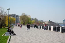 DSC_2907_1.webp