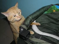 Tom - 10 YO.webp