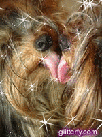 glitterfy073645773jzi2.gif