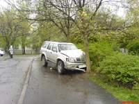 DSC00406.webp