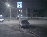 БотСад1.jpg