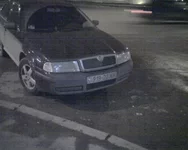 БотСад2.jpg