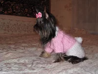 IMG_1071.webp