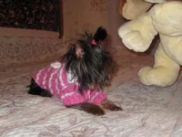 IMG_1101.webp