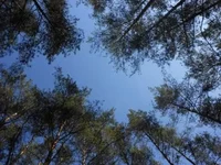DSCN0877.jpg