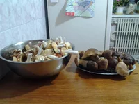 20120901_195850.jpg