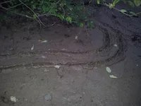 20120901_184112_новый размер.webp