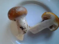 20120902_180541.jpg
