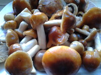 20120902_180432.jpg