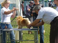 P1020520.webp