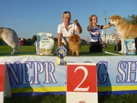P1020580.webp