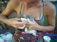 SAM_5276.webp