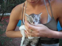 SAM_5284.webp