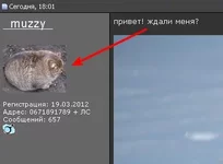 .webp