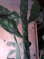 2012-09-05 16.31.47.webp