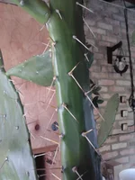 2012-09-05 16.32.50.webp