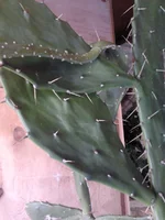 2012-09-05 16.32.59.webp