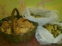 06092012286.jpg