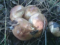 07092012291.jpg