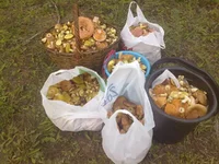 07092012293.jpg