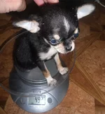 SAM_5812.webp