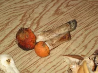 xSg77_tT19U.jpg