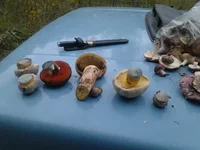 2012-09-08_18.11.16.jpg