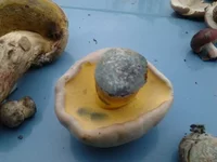 2012-09-08_18.11.24.jpg