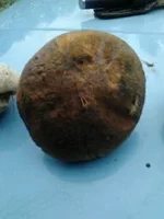 2012-09-08_18.12.13.jpg