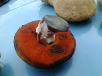 2012-09-08_18.12.33.jpg