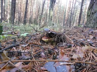 DSCN0901.jpg