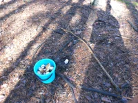 DSCN0907.jpg