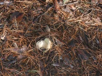 DSCN0908.jpg