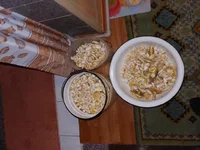 DSCN0920.jpg